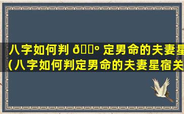 八字如何判 🌺 定男命的夫妻星（八字如何判定男命的夫妻星宿关系）